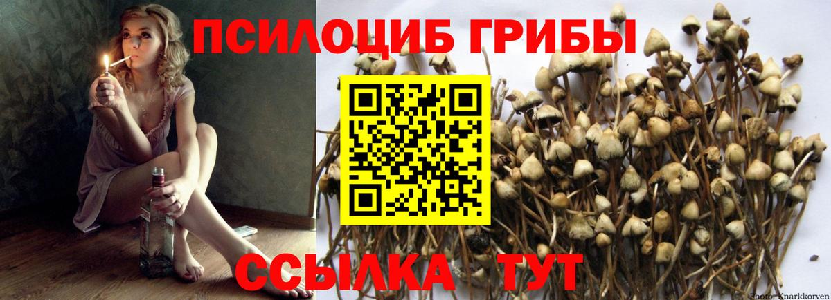 Псилоцибиновые грибы MAGIC MUSHROOMS  дарнет шоп  Самара  Вход с VPN 